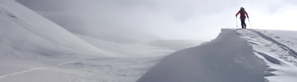 P.ARPIN ski mars avril 202112 - Compagnie des Guides Vanoise