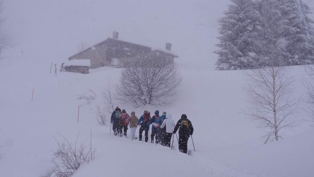 Raquette Alois 1 credit T Roger - Compagnie des Guides Vanoise