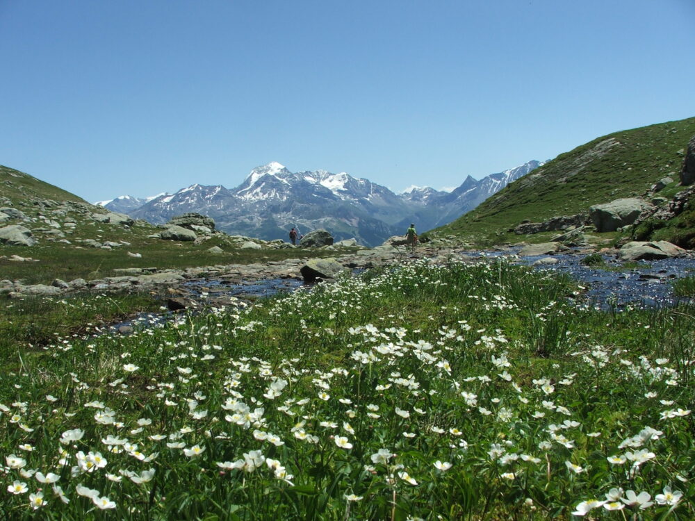 Pierra Menta