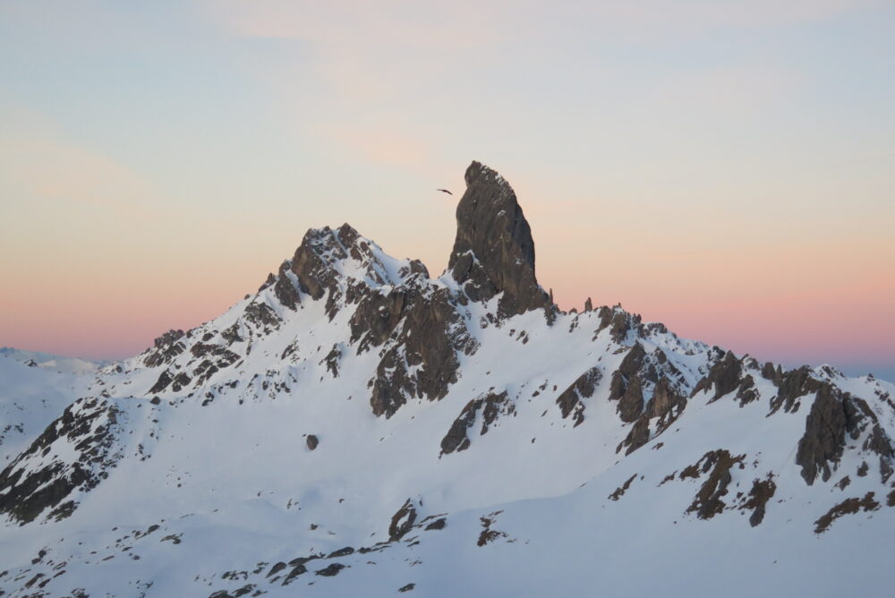 IMG 1603 - Compagnie des Guides Vanoise