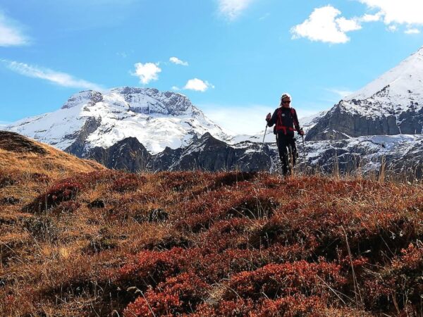 Photo 2 - Compagnie des Guides Vanoise